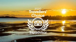 Ocean Trails Resort Tripadvisor 2020 Travel's Choice Award Winner