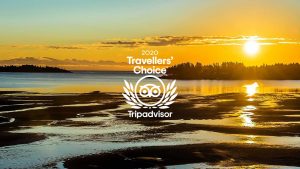 Ocean Trails Resort Tripadvisor 2020 Travel's Choice Award Winner